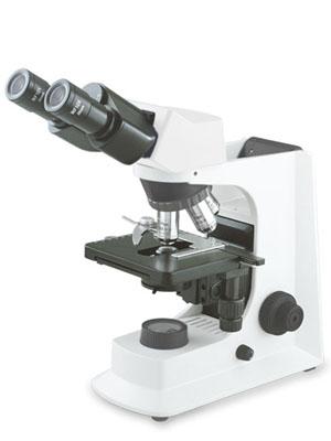 BN microscope