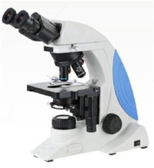 BS-300 microscope