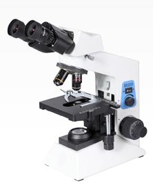 XSP-BH microscope