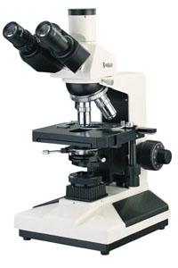 XSL-20A microscope