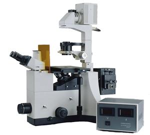 IBE-2000 microscope