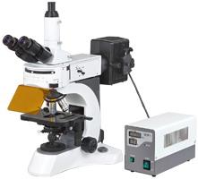 XSP-NYF microscope