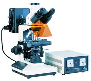 LY2001 microscope