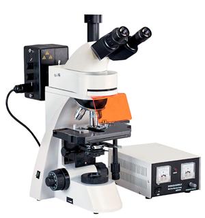 LY3001 microscope