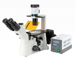 XSD-3BF microscope