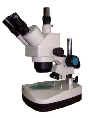 XTL-3B microscope