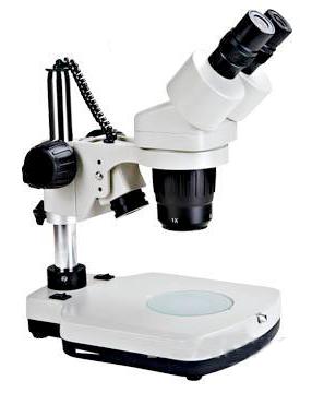 DSM microscope