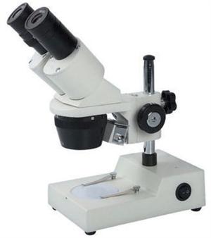 XT-3B microscope