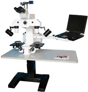 MIC-W8F microscope