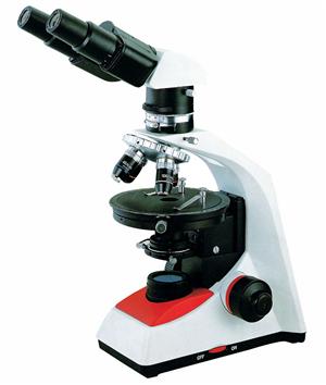 BS203ip microscope