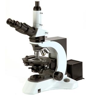 XSP-NYP2 microscope