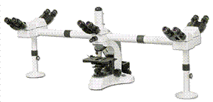 XSP-YM microscope