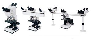 XSZ-510 microscope